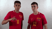 Wheeling University GIF by WU Cardinals