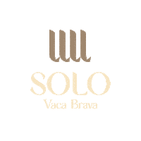 Solo Sticker by CMO Construtora