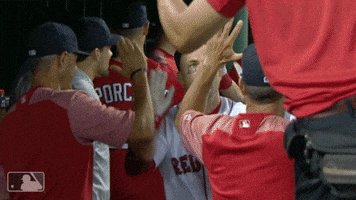 Sport Baseball GIF by MLB Network