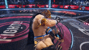 Wwe Look At This GIF by BANDAI NAMCO