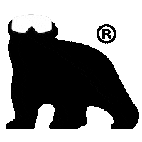 Ski Snowboarden Sticker by PanArt