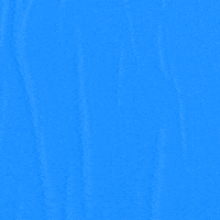 Teddy Bear Friday Dance GIF by Teddy Too Big