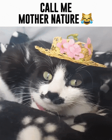 Mother Nature Seriously GIF