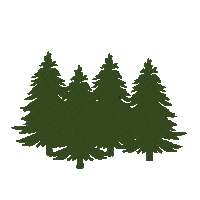 TNCC logo green natural true Sticker