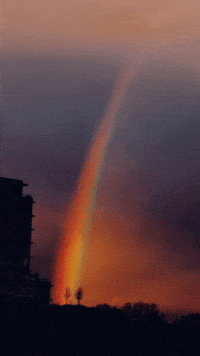 Rainbow GIF