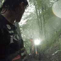 Storm Forest GIF by Red Bull