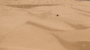 Moon Desert GIF by NASA