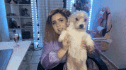 Dog Puppy GIF
