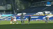 Leicester Ligainggris GIF by MolaTV