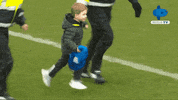 Everton Watford GIF by MolaTV