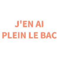 VilledeTerrebonne done over it meh recycling Sticker