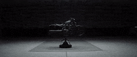 H-D Sport GIF by Harley-Davidson