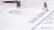 Sheffield GIF by Sheff_Steelers