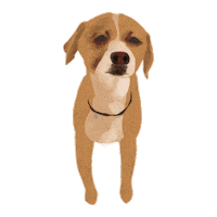 Sniffing Chihuahua Dog Sticker