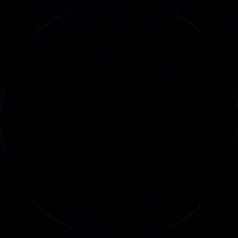 Op Art GIF by Joe Winograd