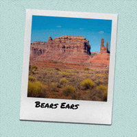 National Parks Thank You GIF by INTO ACTION