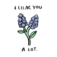 I Like You Flower Sticker by Aerie
