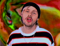 Wildflower GIF by 5 Seconds of Summer