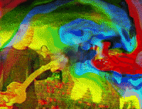 Wildflower GIF by 5 Seconds of Summer