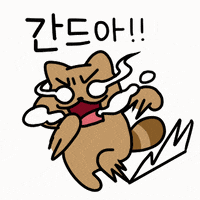 Neoverave run 달리기 너구리 가보자고 GIF