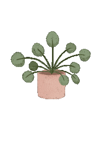 Biancalcantara pink plant planta pilea Sticker