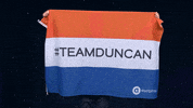 AVROTROS eurovision holland flags ned GIF