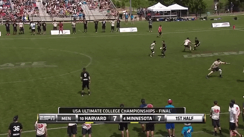 flikulti ultimate frisbee flik GIF