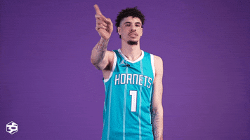 Basketball Nba GIF by Charlotte Hornets
