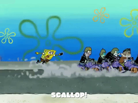 season 4 GIF by SpongeBob SquarePants