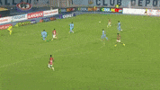 Abrigo GIF by Club Deportivo Palestino