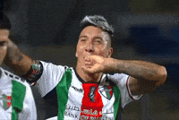 Banana Suarez GIF by Club Deportivo Palestino