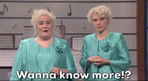 Kate Mckinnon Snl GIF by Saturday Night Live
