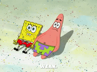 season 6 GIF by SpongeBob SquarePants