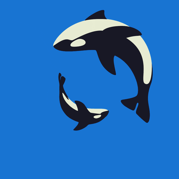 family orca GIF