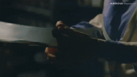 Martial Arts Sword GIF by Arrow Video