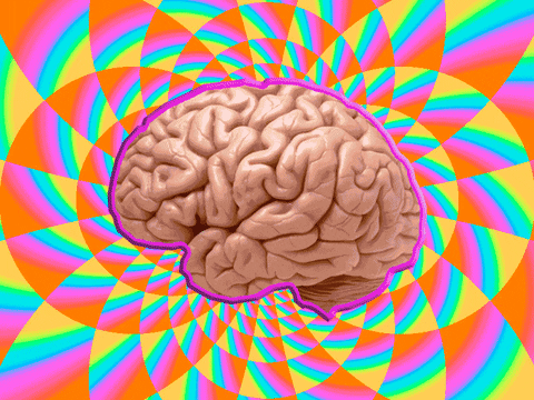mind colours GIF by Barbie_Elektrix