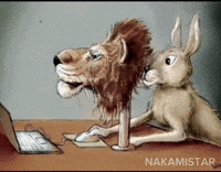Look Looking GIF