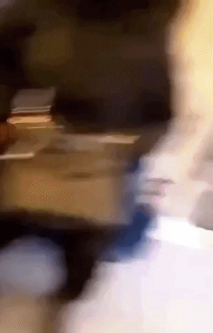 skagk giphyupload GIF