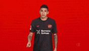 Bayer Leverkusen GIF by Bundesliga