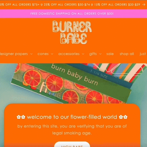 burnerbabe giphyupload GIF