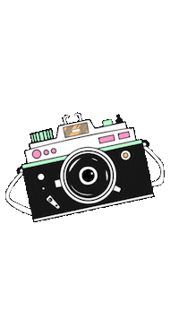 Vintage Photography Sticker by LOAVIES