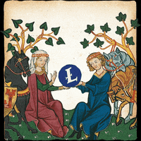 Crypto Litecoin GIF by Capital.com