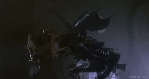James Cameron Siguorney Weaver GIF by Aliens