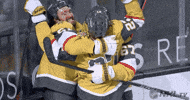Ice Hockey Sport GIF by NHL
