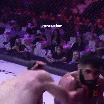Mma GIF