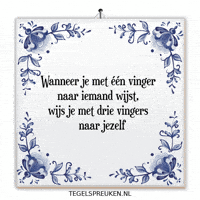 Humor Nl GIF by Tegelspreuken.nl