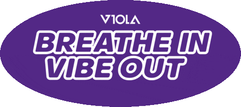TheViolaBrands giphyupload nba brands viola Sticker