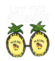 Happy Summer Fun Sticker by Malibu Rum