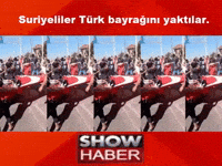Chp Recep GIF