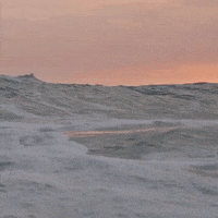 Costa Rica Surf GIF by Chris
